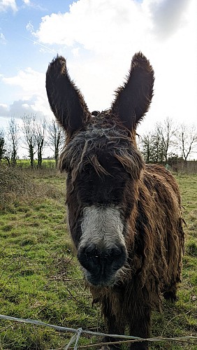 Randonnée "La Droille et l'Armazie"