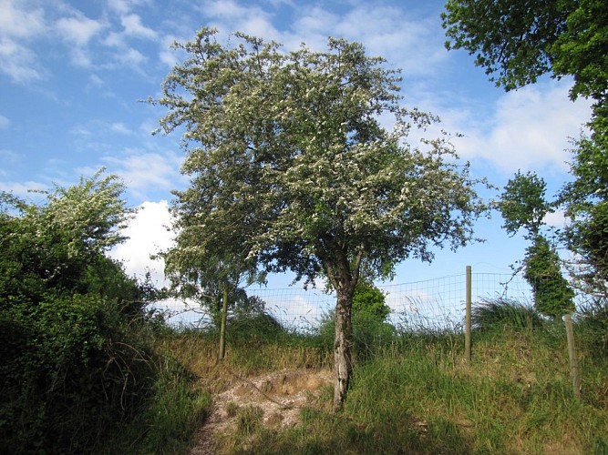 Randonnée "La Droille et l'Armazie"