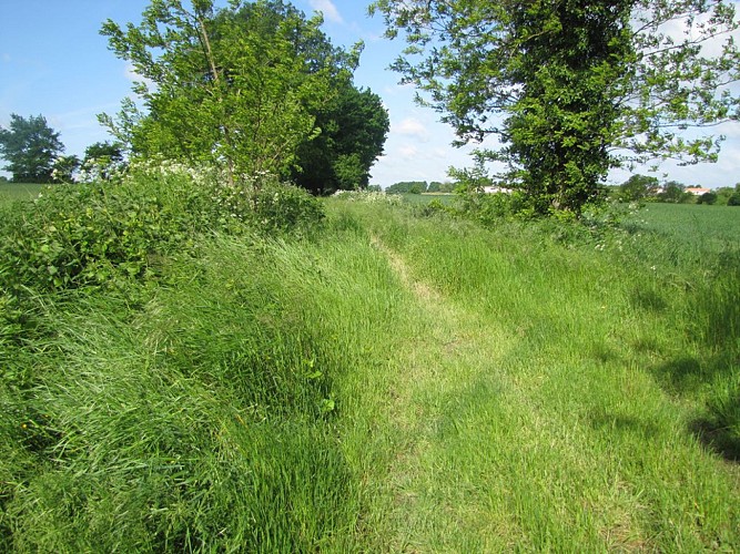 Randonnée "La Droille et l'Armazie"
