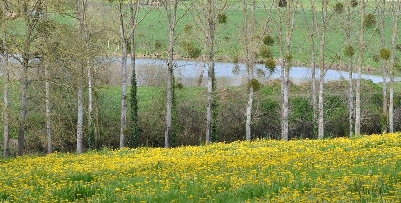Randonnée "La croix Bourreau, la Brosse et l'Aunay Gontard"