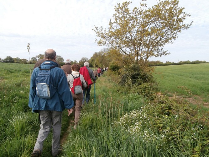 Randonnée "Autour des chênes"