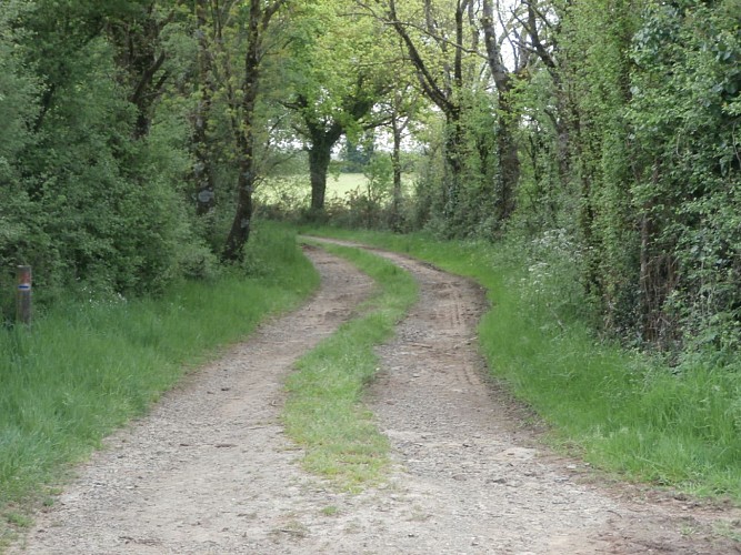 Randonnée "Sur les traces du Petit Anjou"