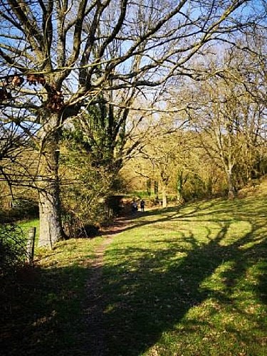 Randonnée "Les bords de Sèvre"