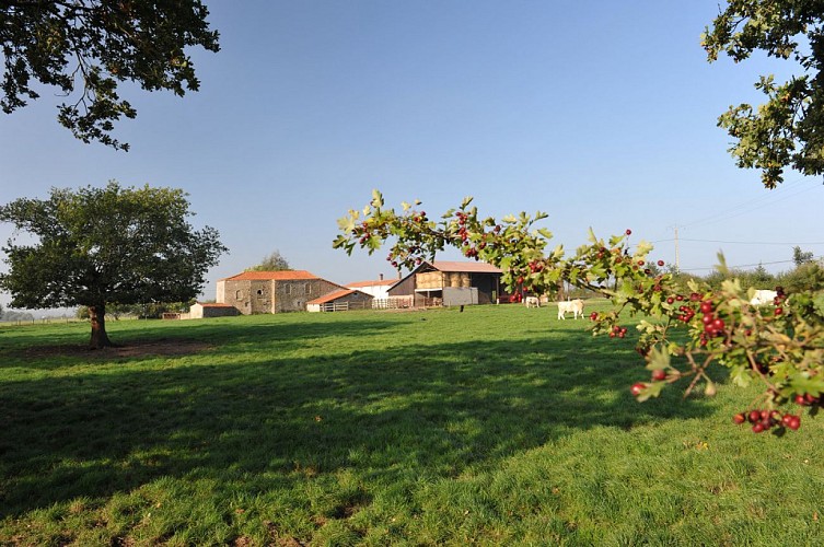 Randonnée "La Bataille"