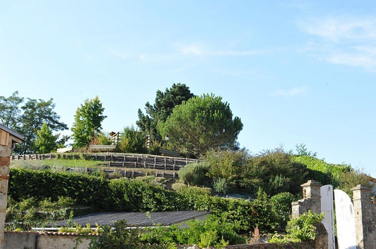 Randonnée "Foulques Nerra"