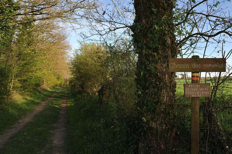 Randonnée "La colonne"