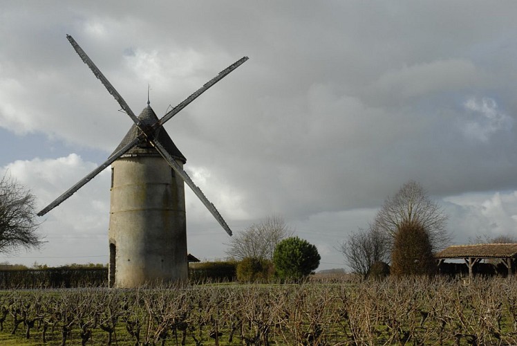 Randonnée "La cour"
