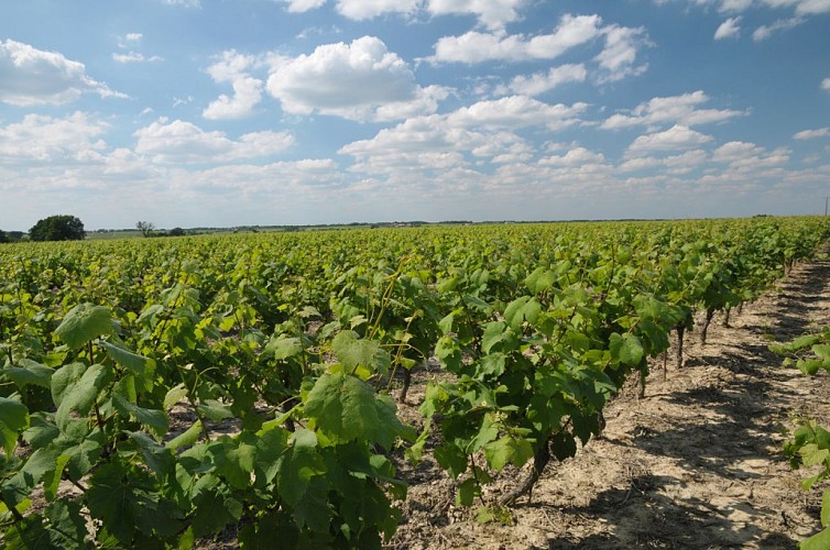 Randonnée "La cour"