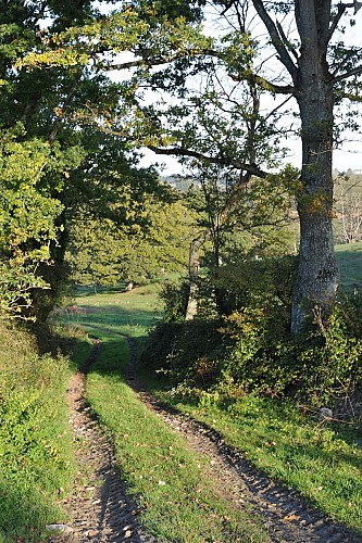 Randonnée "La cour"