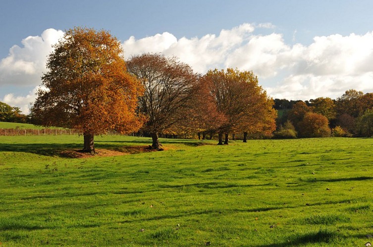 Circuit VTT "La Moine, entre granite et vignoble"