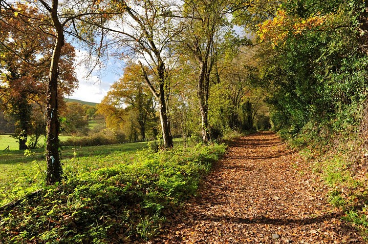 Circuit VTT "La Moine, entre granite et vignoble"