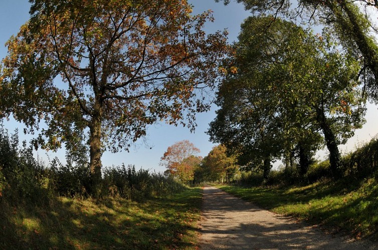 Sentier d'interprétation "La Bataille de Torfou"