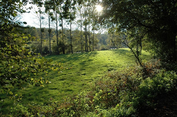 Randonnée "Bornéo"