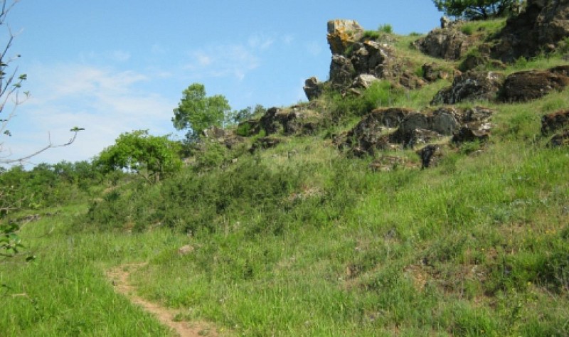 BEAULIEU SUR LAYON - SENTIER D'INTERPRETATION RESERVE NATURELLE REGIONALE - SUR LES PAS DU CHANOINE CORILION