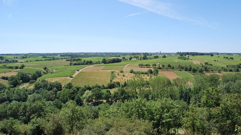 BEAULIEU SUR LAYON - SENTIER D'INTERPRETATION RESERVE NATURELLE REGIONALE - SUR LES PAS DU CHANOINE CORILION