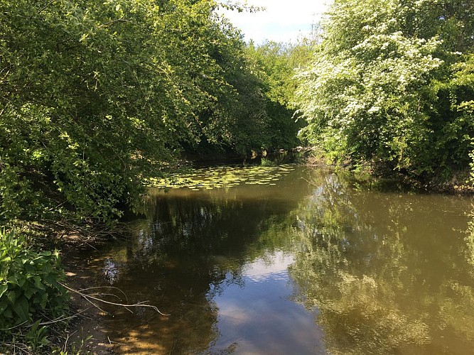 Randonnée "Le Moulin Neuf"