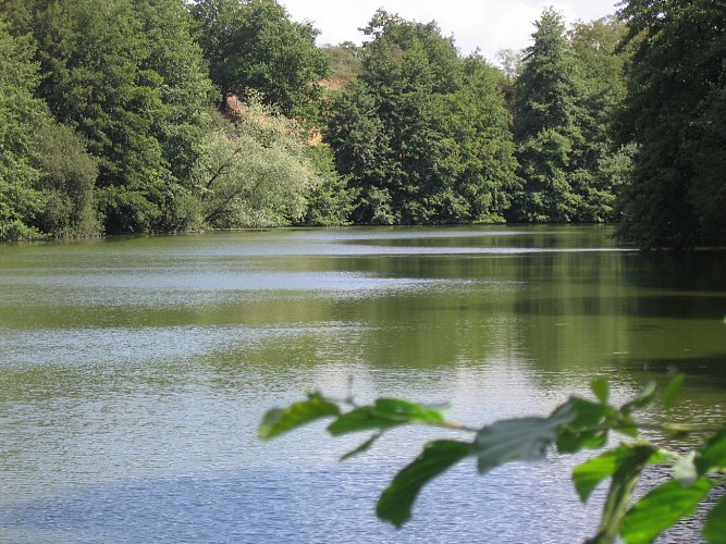 Randonné "La coulée verte"