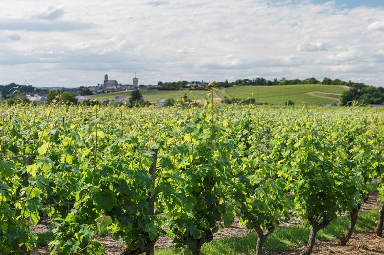 Sentier du ruisseau des Moulins