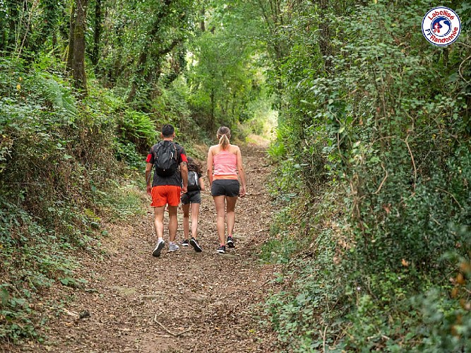 SENTIER DE LA BOËRE