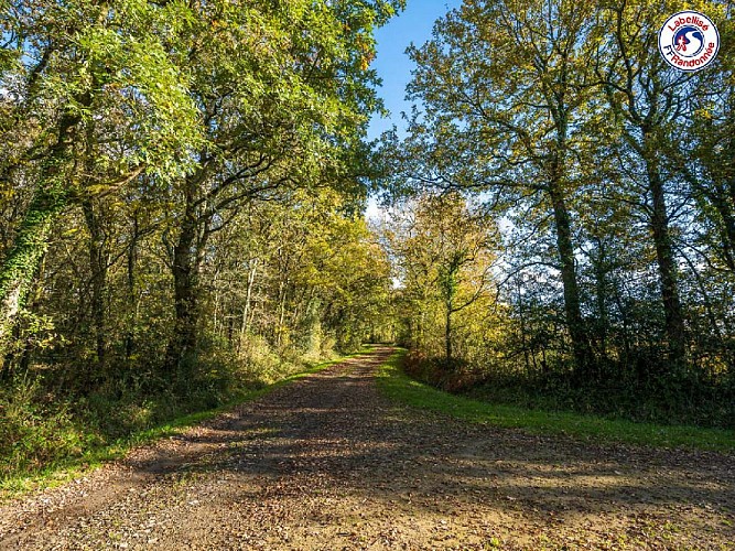 SENTIER DU PAS DE L'ENFER