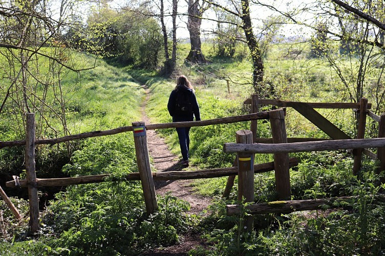 SENTIER DE LA SÈVRE NANTAISE - LES EPESSES