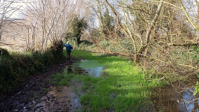En hiver | Contournement d'une mare
