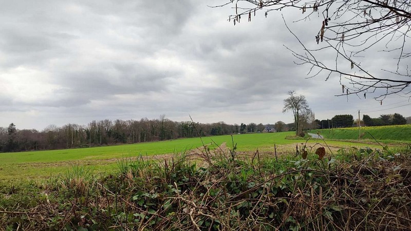 Circuit de Penn ar Wern | Ploumilliau