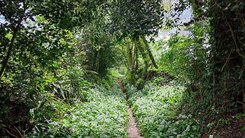 Boucle de Sainte Anne | Randonnée - Balade à Plestin les greves