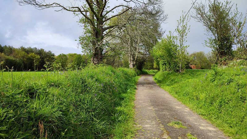 Boucle de Sainte Anne | Randonnée - Balade à Plestin les greves