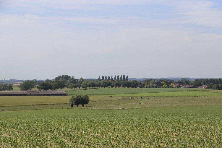 Hoves : ses paysages ouverts et ses fermes anciennes