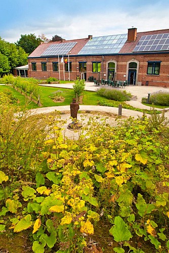A vélo sur le RAVeL des Collines