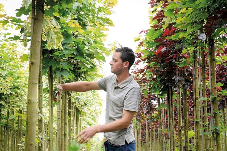 A vélo au coeur des pépinières