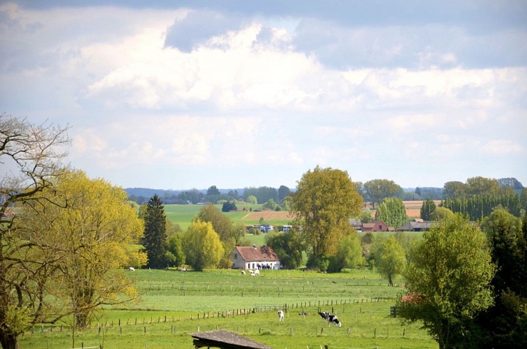 Pomenade Jean Nature