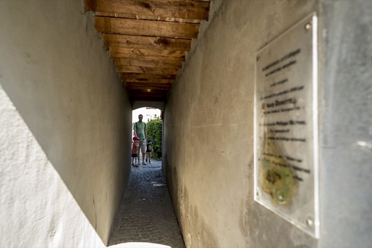 Circuit des plantes médicinales