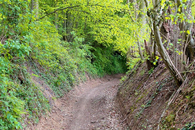 Reserve-du-Tournibois