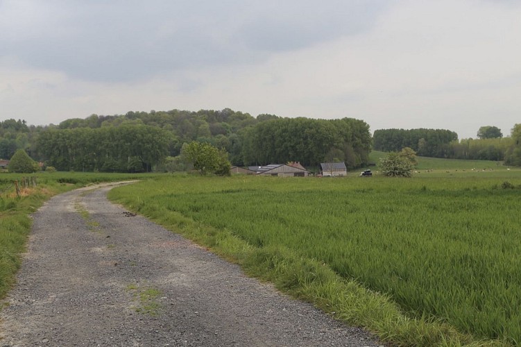 A pied dans la campagne flobecquoise