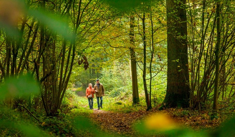 Pivot-PED-Silly - Promenade des princes-2