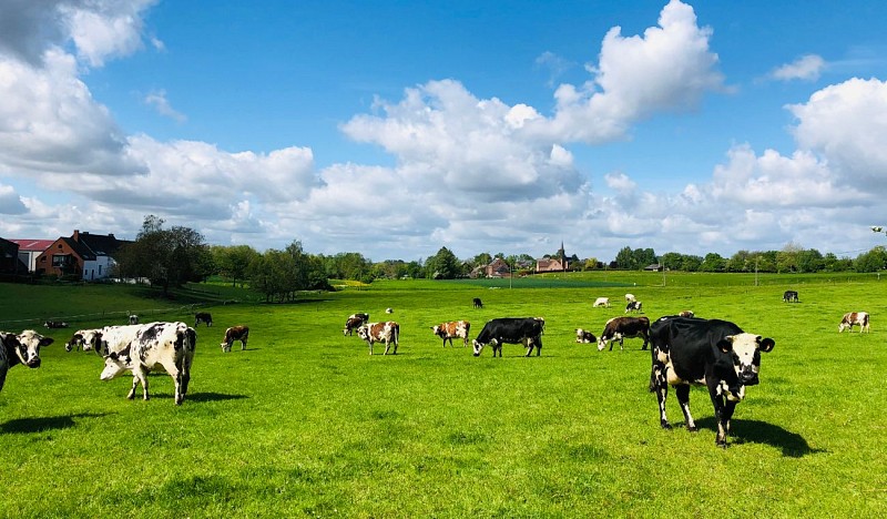 Pivot-PED-Silly - Promenade des princes-3
