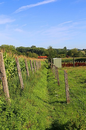 A pied, à la découverte des sentiers réhabilités