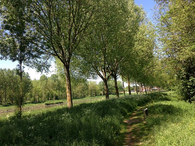 Circuit de la coupure de Bléharies