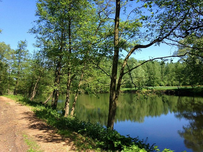 Circuit de la coupure de Bléharies