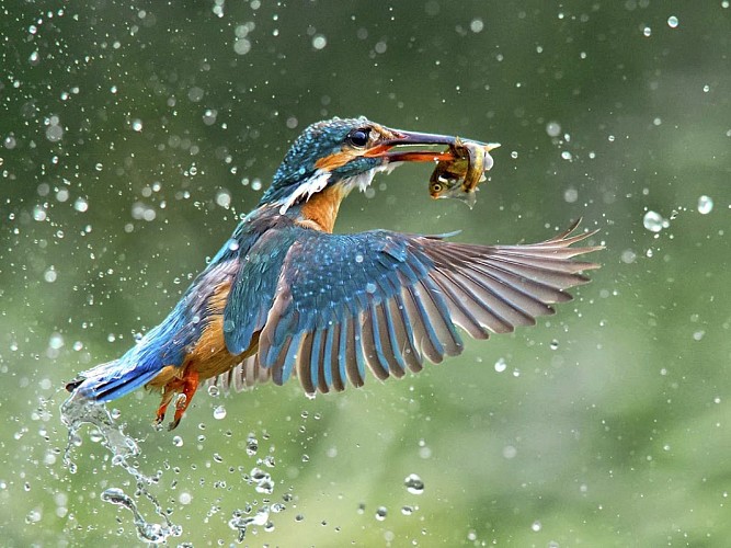 Circuit de la coupure de Bléharies 2