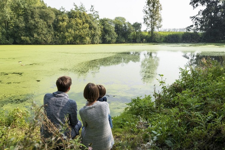 Balade ornithologique de la coupure de Bléharies