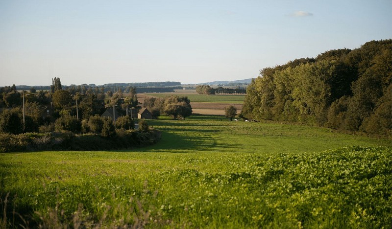 Pivot-PED-Tournai - Promenade du Vert-Bois-1