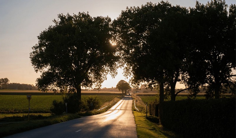 Pivot-PED-Tournai - Promenade du Vert-Bois-4