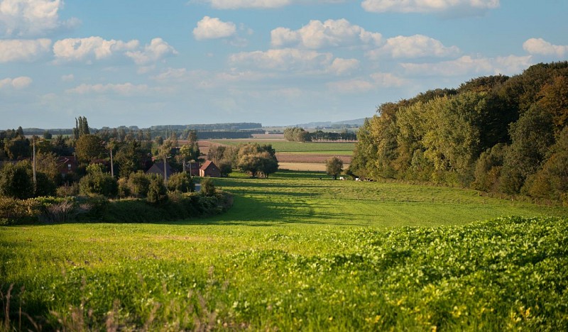 Pivot-PED-Tournai - Promenade des chapelles-5