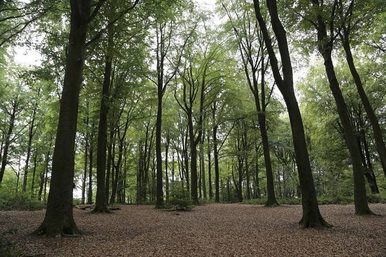 A pied, autour du Mont-de-l'Enclus