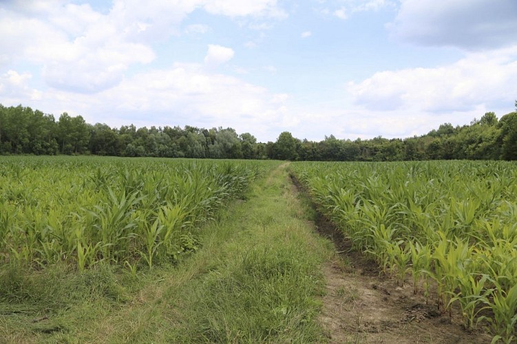 Circuit du Maréchal de Croy