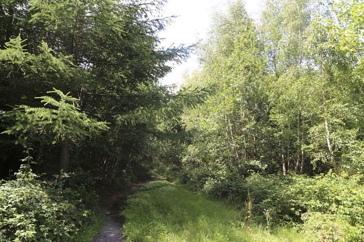 Circuit du Maréchal de Croy