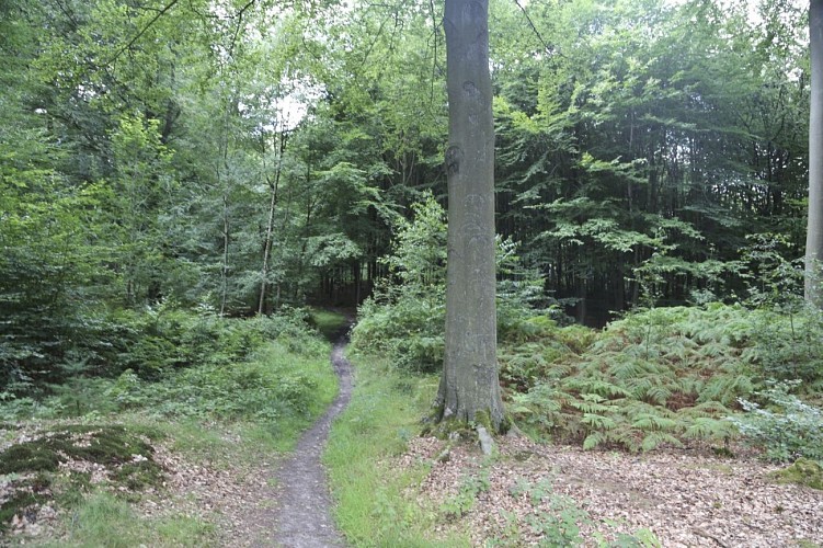 Circuit du Maréchal de Croy